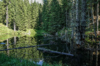 /album/gleinalpe-rossbachkogel-4-september-2025/gleinalpe-rosbachkogel-04-09-2025-23-jpg/
